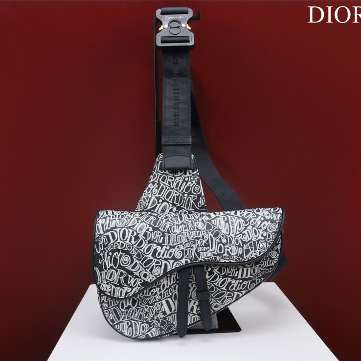 Christian Dior Saddle Bags - Click Image to Close